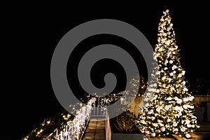 Ornate and lighted Christmas tree in the garden.