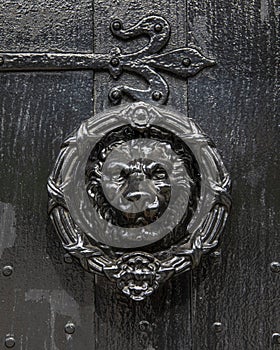 Ornate Lion Door Knocker