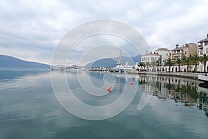 Ornate marina with palm trees in Montenegro.