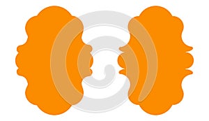 Ornate Orange Decorative Frames