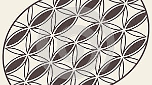 Ornate Oval Pattern: Seamless Geometric Floral Motif, vector design Generative AI