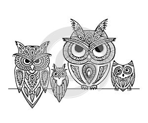 Ornate owl, zenart for your design