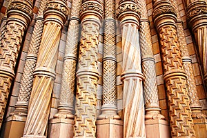 Ornate Pillars At The Natural History Museum