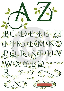 Ornate Swash Alphabet with Leaves