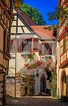 Traditional half timbered houses on the Alsatian Wine Route, Kaysersberg, France photo