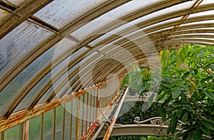 London, kew gardens: victorian green house