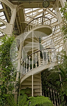 London, kew gardens: victorian staircase photo