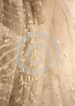 Ornate Vintage Close Up Detail of Wedding Dress