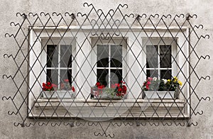 Ornate Window Security Bars