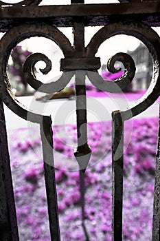 Ornate wrought iron fence with arrow, Rockville, Connecticut.