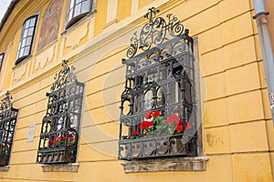 Ornate wrought iron window shutters