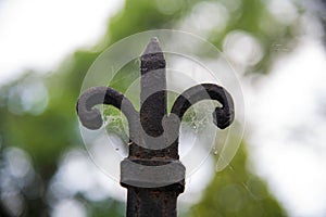 ornated old fence detail