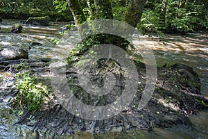 Orne river gorge, river in the forest
