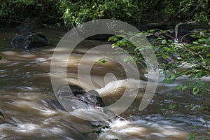 Orne river gorge, river in the forest