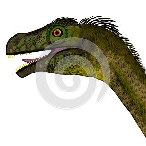 Ornitholestes Dinosaur Head