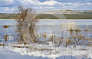 Ornithological reserve .. Vransko jezero .. Croatia