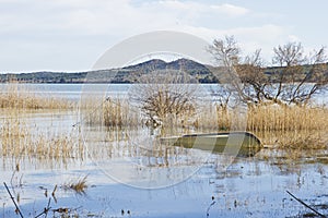 Ornithological reserve .. Vransko jezero .. Croatia
