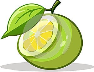 Oroblanco citrus isolated on white with natural shadows photo
