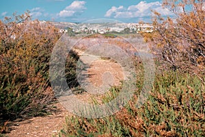 Oroklini lake area in the dry season