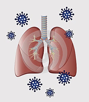 Ð¡oronaviruses in the lung. Covid-19. Human lungs.