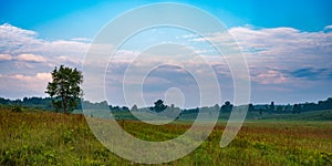 Oronoco Prarie in Summer