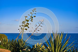 Oropesa de Mar in Castellon Mediterranean photo