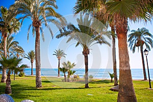 Oropesa de Mar in Castellon palm tree garden in mediterranean photo