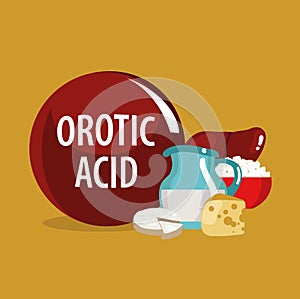 Orotic acid. Natural organic foods with high vitamin content