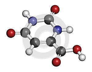 Orotic acid molecule. 3D rendering. Atoms are represented as spheres with conventional color coding: hydrogen white, carbon . photo
