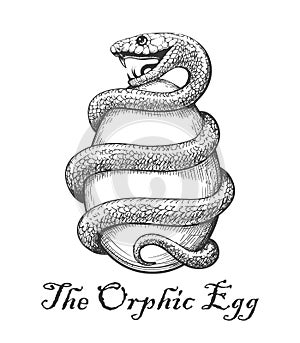 The Orphic Egg Tattoo photo