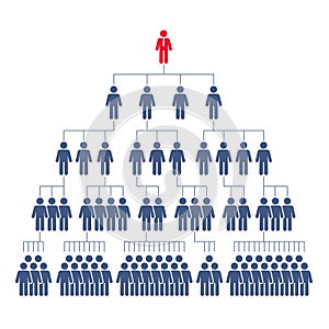 Ð¡orporate hierarchy, network marketing