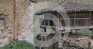 Orreo granary old storage building in Asturias with chickens and cats in rural a forest