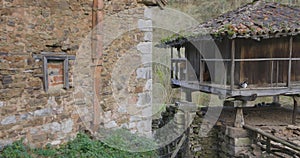 Orreo granary old storage building in Asturias with chickens and cats in rural a forest