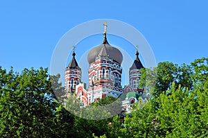 Orthodox cathedral in Feofaniya