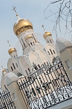 Orthodox church