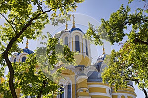 Orthodox Church and the branches of a tree against the blue sky. Kiev