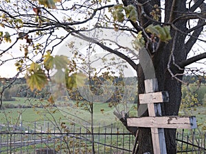 Orthodox cross