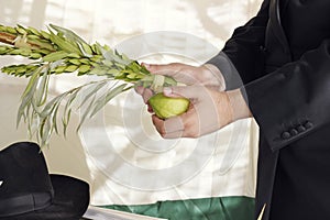 Orthodox hasidic performing the commandment of taking of the