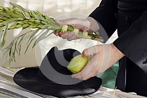 Orthodox hasidic performing the commandment of taking of the