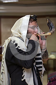 Orthodox blow the shofar photo