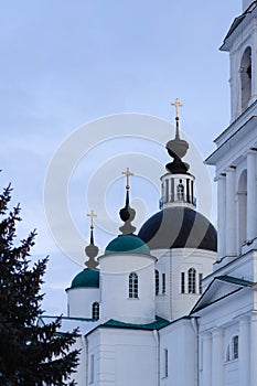An orthodox white chirch with dark dome and golden crosses on top. A pine in the left corner photo