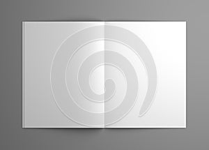 Orthographic blank 3D illustration opened magazine mock-up.