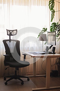 Orthopaedic chair for work at home. Minimalism home office interior with plants