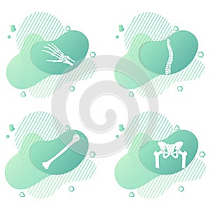 Orthopedic anatomy bone set icon. Abstract background with knee, foot, shoulder, elbow bones and joints.