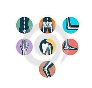 Orthopedic medical human joints and bones icon set photo