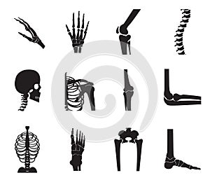 Orthopedic and spine icon set on white background.