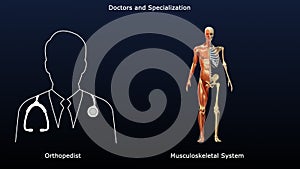 Orthopedist - Doctor and Specialization of Musculoskeletal system photo