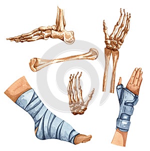 Orthopedic surgery and orthopaedics tools. Watercolor set of medical Physiotherapy illustrations