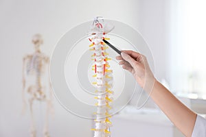 Orthopedist pointing on human spine model in clinic