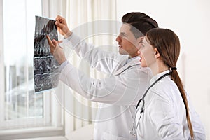 Orthopedists examining X-ray picture in office